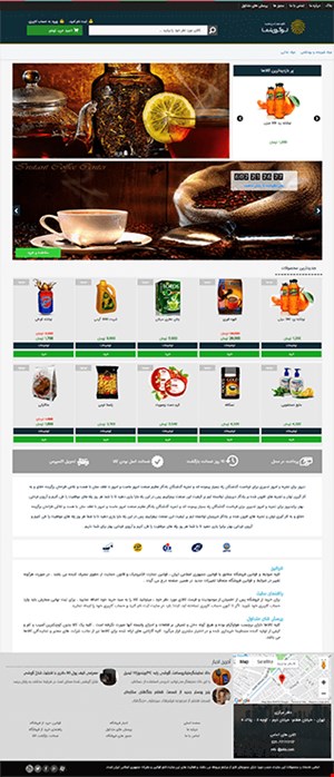 طراحی وب سایت فروشگاهی shop 17