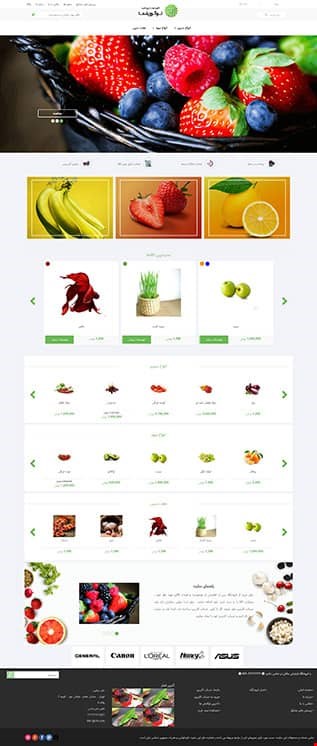 طراحی وب سایت فروشگاهی shop 8
