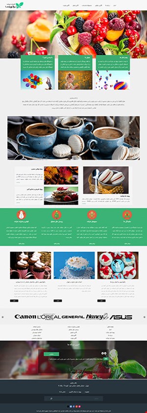طراحی وب سایت شرکتی  work 7