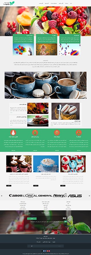 طراحی وب سایت شرکتی  work 7