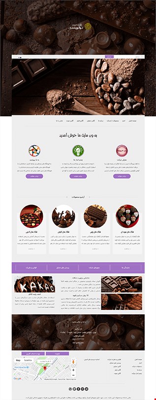 طراحی وب سایت شرکتی  work14